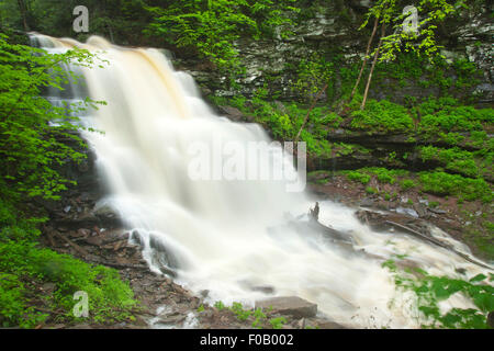 FRÜHLING TORRENT ERIE WASSERFÄLLE KÜCHE CREEK RICKETTS GLEN STATE PARK LUZERNE COUNTY PENNSYLVANIA USA Stockfoto