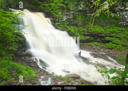 FRÜHLING TORRENT ERIE WASSERFÄLLE KÜCHE CREEK RICKETTS GLEN STATE PARK LUZERNE COUNTY PENNSYLVANIA USA Stockfoto