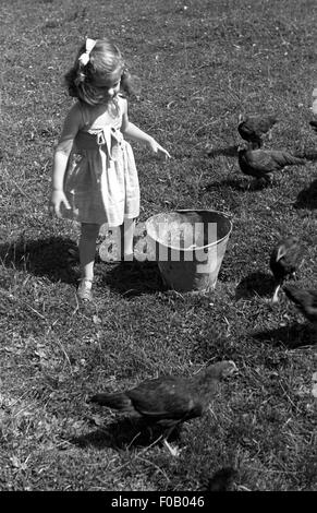 Ein junges Mädchen, die Hühner füttern Stockfoto