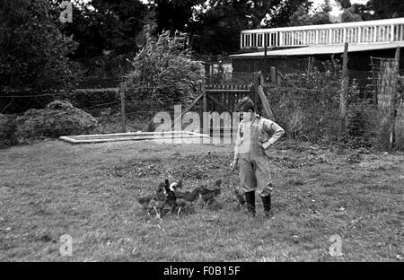 Ein kleiner junge Hühner füttern Stockfoto