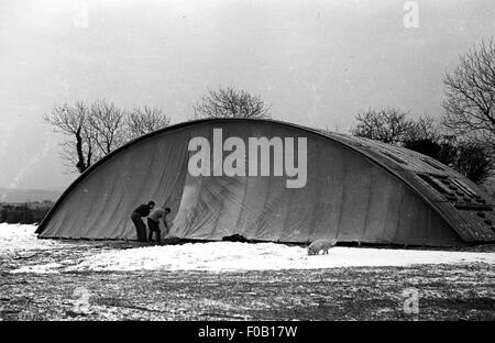 Zwei Männer, die Anordnung der Plane auf den Eingang zu einem kleinen Hangar in einem Feld Stockfoto