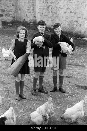 Drei Kinder auf dem Bauernhof Stockfoto