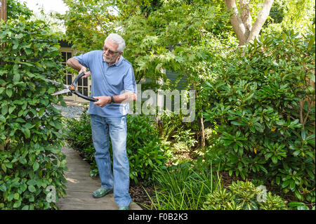 Senior woman schneiden mit der Schere Hecke. Stockfoto