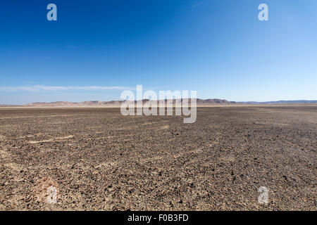 Israel, Negev-Wüste Landschaft. Feld Bulbus Felsen vor Mount Zin Stockfoto