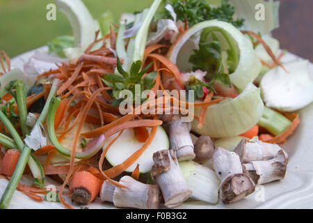 Nahaufnahme der Platte voller Gemüseschalen und Verschrottung warten kompostiert werden Stockfoto