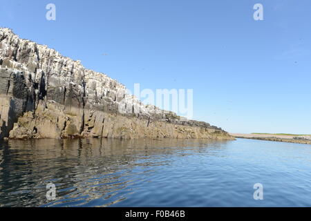 FARNE ISLANDS, NORDSEE, NORTHUMBERLAND Stockfoto