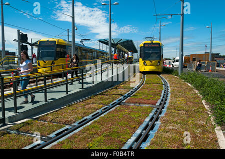 Deansgate Castlefield Tram Stop, Manchester, England, UK. Neu aufgebaut mit Tracks, die Gartenanlage mit Sedum "grüne Track" Einsätze. Stockfoto