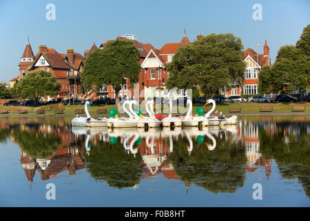 Sammlung von Schwan und Ente Tretboote zusammengebunden im Kanu See Southsea Stockfoto