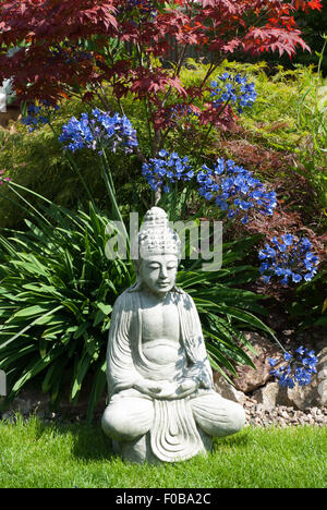 Agapanthus Blue Peter, Acer palmatum atropurpureum und meditieren Garten Buddha. Stockfoto