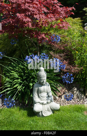 Agapanthus Blue Peter, Acer palmatum atropurpureum und meditieren Garten Buddha. Stockfoto