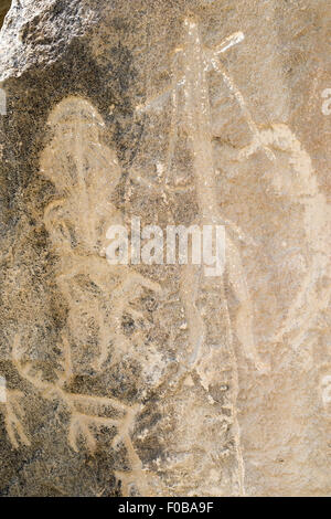 Menschen Hirsche, Petroglyphen, Gobustan (Qobustan) Rock Art, Aserbaidschan Stockfoto