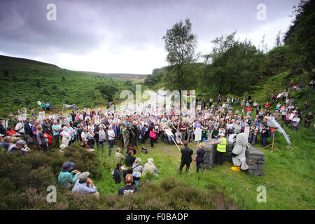 Demonstranten versammeln sich, um Kampagne gegen die illegale Verfolgung von Kornweihen am Kornweihe, Peak District Derbyshire UK Stockfoto