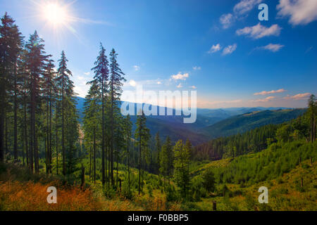 Landschaft in Transrarau in Rumänien. Stockfoto