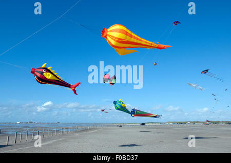 Drachen, Flugdrachen, Strang, Sankt Peter-Ording, Basel-Landschaft Stockfoto