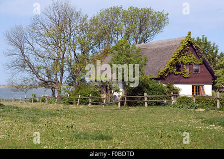 Haus bin Saaler Bodden, wustrow Stockfoto