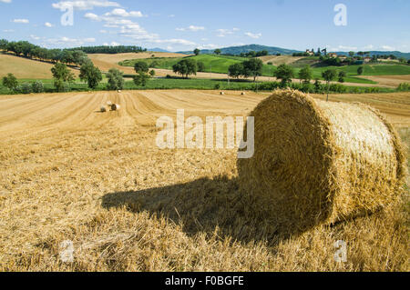 Val d ' Orcia Landschaft in der Toskana Stockfoto