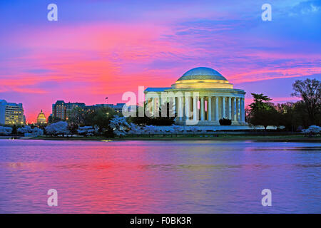 Sonnenaufgang am Thomas Jefferson Memorial in Washington DC. Die berühmten Kirschbäume stehen in voller Blüte. Stockfoto