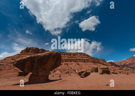 Ausgewogene Rock Lees Ferry Coconino County Arizona Flachpresse Zusammensetzung Stockfoto