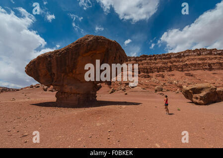 Ausgewogene Rock Lees Ferry Coconino County Arizona Flachpresse Zusammensetzung Stockfoto