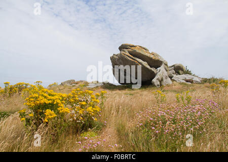 Erodierte Granit, ein Tor, auch bekannt als Burg Koppie, an der Küste der Bretagne, Frankreich. In der vorderen Cushag und Marsh Daisy Stockfoto