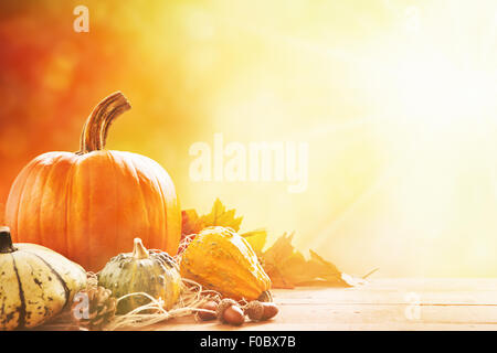 Eine rustikale Herbst Stilleben mit Kürbissen und goldene Blätter auf einer Holzfläche. Helles Sonnenlicht von hinten herein. Stockfoto