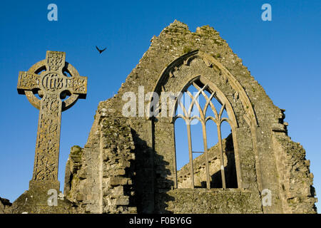 Athenry Dominikaner Kloster, gewidmet der Heiligen Petrus und Paulus, fand im Jahre 1241 bleibt Details und Steinkreuz Stockfoto