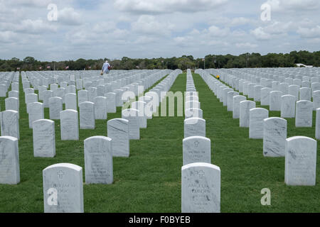 Ein Mann zu Fuß unter den Grabsteinen auf dem Nationalfriedhof in Sarasota. Stockfoto