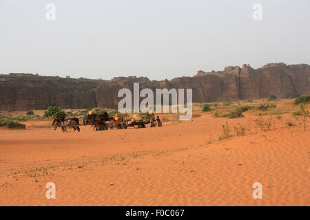 BANDIAGARA, MALI - 2. Oktober 2008: Unbekannte Gruppe von Menschen mit Streitwagen, gezogen von Eseln in Bandiagara in Mopti regi Stockfoto