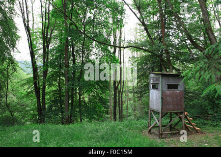 Jäger-Box Stand auf der Lichtung. Holzen, untere Sachsen, Deutschland, Europa Stockfoto