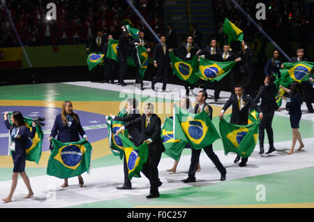 Teilnehmer bei der Eröffnungsfeier der Worldskills 2015 am Ibirapuera Gymnasium in São Paulo. Brasilien ist der Sitz der 43. Ausgabe des WorldSkills Wettbewerb die größte berufliche Bildung in der Welt. Die Veranstaltung findet 12-15 August im Anhembi Park in Sao Paulo und bringt ca. 1.200 junge Teilnehmer aus über 60 Ländern und Regionen, die den Titel des weltweit besten 50 technische Berufe, wie Robotik, bestreiten Drehmaschinen CNC, mechanische Konstruktion, Schweißen, Bau von Formen, industrielle Elektrizität, Web des Stockfoto