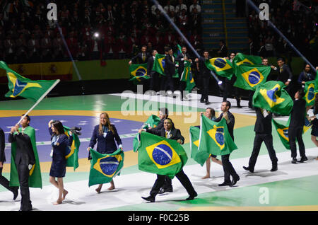 Teilnehmer bei der Eröffnungsfeier der Worldskills 2015 am Ibirapuera Gymnasium in São Paulo. Brasilien ist der Sitz der 43. Ausgabe des WorldSkills Wettbewerb die größte berufliche Bildung in der Welt. Die Veranstaltung findet 12-15 August im Anhembi Park in Sao Paulo und bringt ca. 1.200 junge Teilnehmer aus über 60 Ländern und Regionen, die den Titel des weltweit besten 50 technische Berufe, wie Robotik, bestreiten Drehmaschinen CNC, mechanische Konstruktion, Schweißen, Bau von Formen, industrielle Elektrizität, Web des Stockfoto