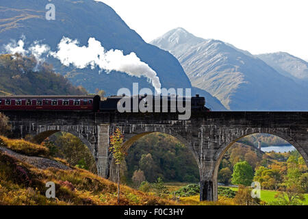 Jacobite Dampfzug, Kreuzung Glenfinnan-Viadukt, Lochaber, Schottland, Vereinigtes Königreich, Europa Lok: 44871 Stockfoto
