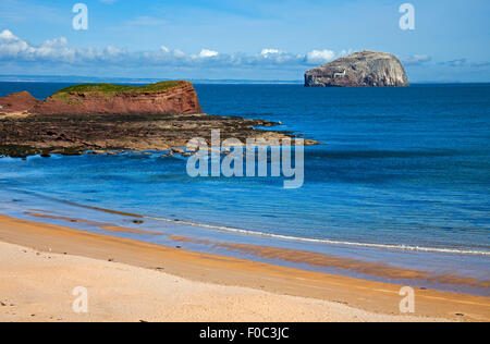 East Lothian Strand mit Bass Rock im Hintergrund Scotland UK Stockfoto