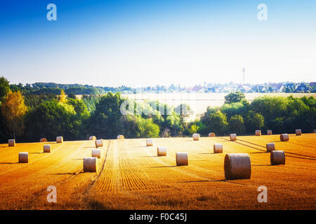 Landwirtschaftlichen Bereich. Schöne ländliche Landschaft mit Strohballen im Sommer Stockfoto