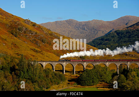 Jacobite Steam Train, Glenfinnan-Viadukt, Lochaber, Schottland Stockfoto