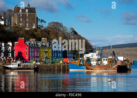 Tobermory Hafens, Isle of Mull Schottland UK Stockfoto