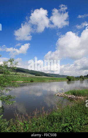 Blick auf Weser gelegen in der Nähe Ruehler Schweiz. Bodenwerder Rühle, untere Sachsen, Deutschland, Europa Stockfoto