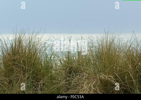 Nordseeduene; Nordsee; Sehen; Meer; Sand; Stockfoto