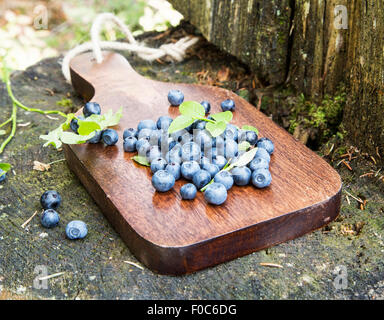 Heidelbeeren, frisch gepflückt aus dem Wald auf eine Holzplatte Stockfoto