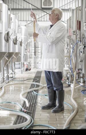 Brewer, testen das Bier in der Brauerei Stockfoto