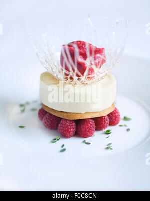 Nahaufnahme von Dessertteller mit Himbeeren, Eis und sorbet Stockfoto