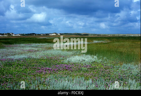 Besuchsjubiläum, texel Stockfoto