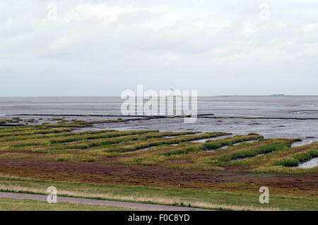 Salzwiese; Boehl; Sankt Peter-Ording; Stockfoto