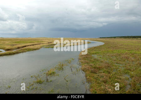 Besuchsjubiläum, Sankt Peter-Ording, Stockfoto