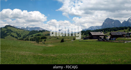 Plattkofels, Langkofel, Seiser, Alm, S Stockfoto