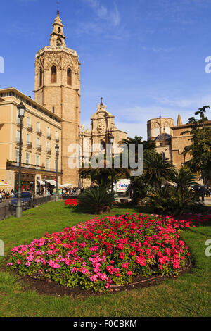 Plaza De La Reina und Kathedrale, Valencia Stockfoto