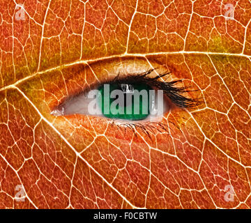 Herbst grün Augen schließen sich und Blatt-Textur auf Gesicht. Ökologie-Konzept Stockfoto