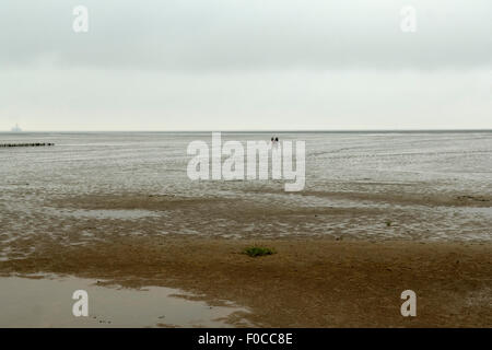 Wattenmeer; Biosphaerenreservat; Dietmarschen; Stockfoto