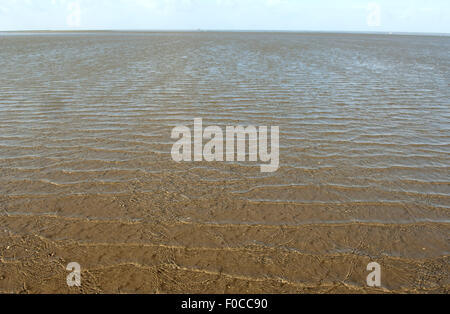 Wattenmeer; Nordseeküsten, Landschaft, Friedrichskoog Stockfoto