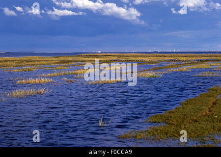 Wattenmeer; Nordseeküsten, Landschaft, Friedrichskoog Stockfoto